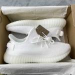 Giày Adidas Yzy350