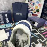 Giày Dior B27 Best Quality